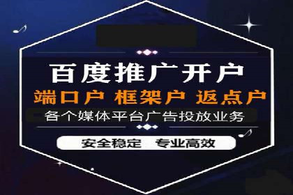 成功运用SEM服务实现品牌快速成长的案例